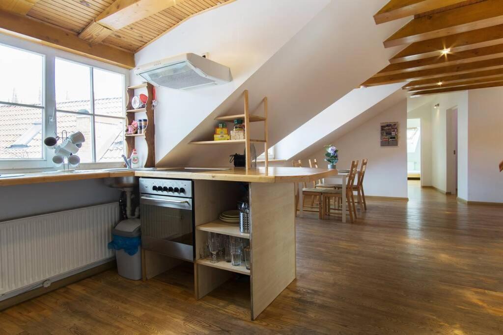 Apartment Private Sauna & 4 Bedrooms Old Town Rooftop Wilna