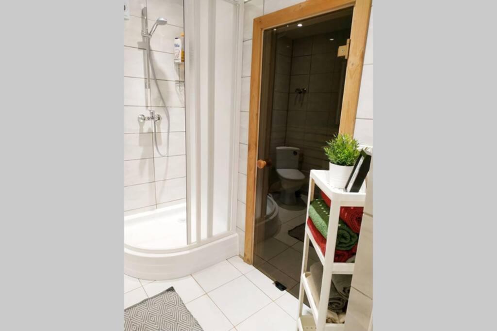 Apartment Private Sauna & 4 Bedrooms Old Town Rooftop Wilna