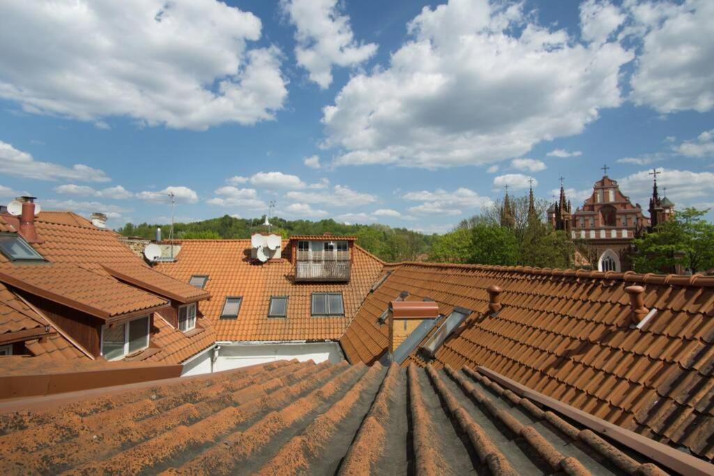 Apartment Private Sauna & 4 Bedrooms Old Town Rooftop Wilna