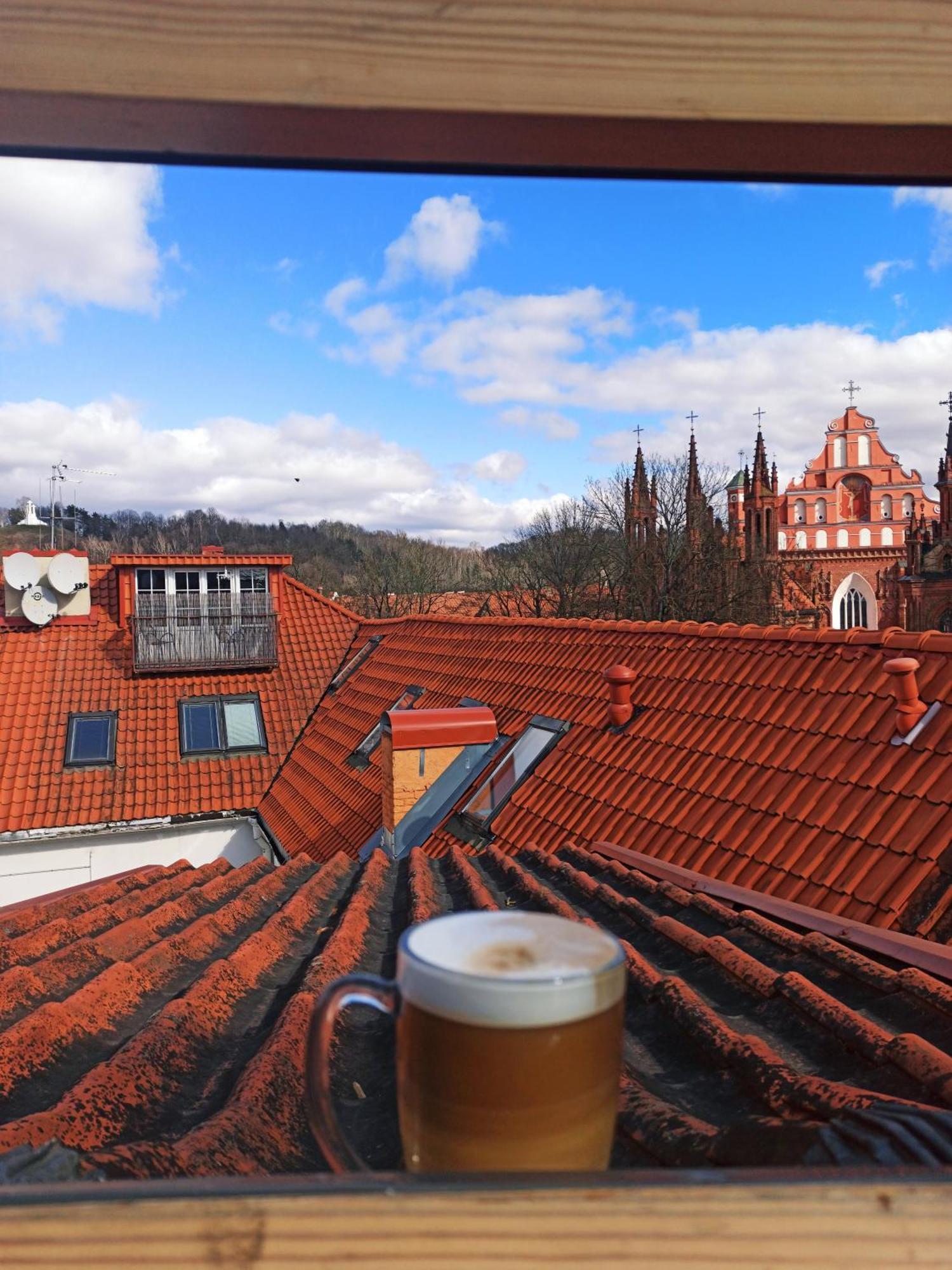 Private Sauna & 4 Bedrooms Old Town Rooftop Apartment Wilna
